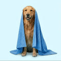 DryCoat™ Microfibre Dog Towel – 140 × 70 cm