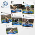 CoolPuppers™ Splash Pad Pro